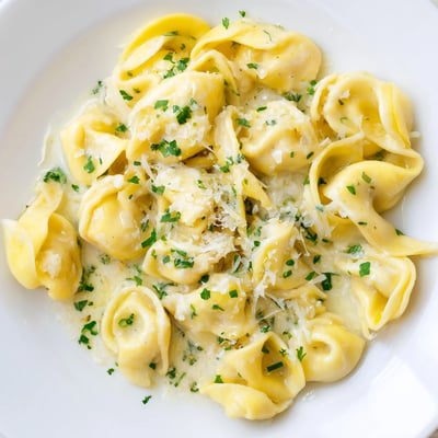 Rich white sauce coating tender wide egg noodles in this comforting American dish
